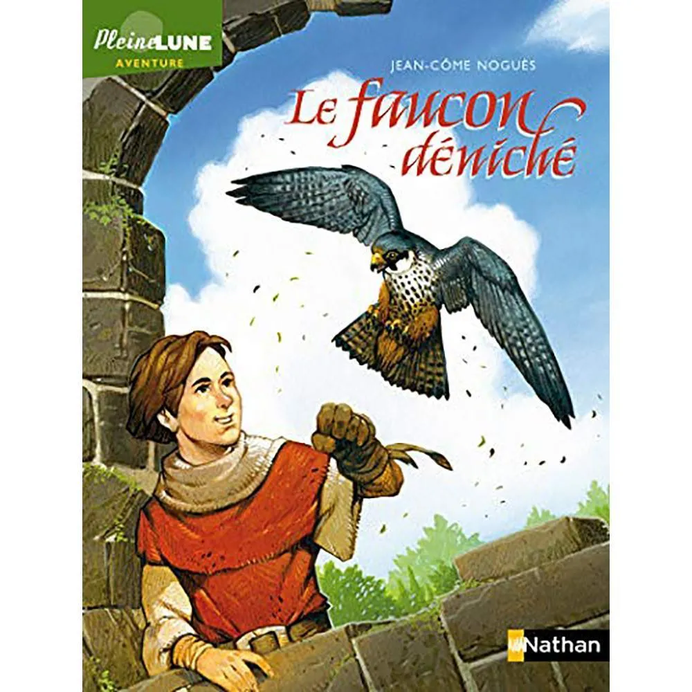 dar-soulami-al-hadita-9782092541548-LE-FAUCON-DENICHE-(-PLEINE-LUNE)