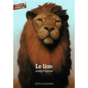 dar-soulami-al-hadita-9782075099899-LE-LION
