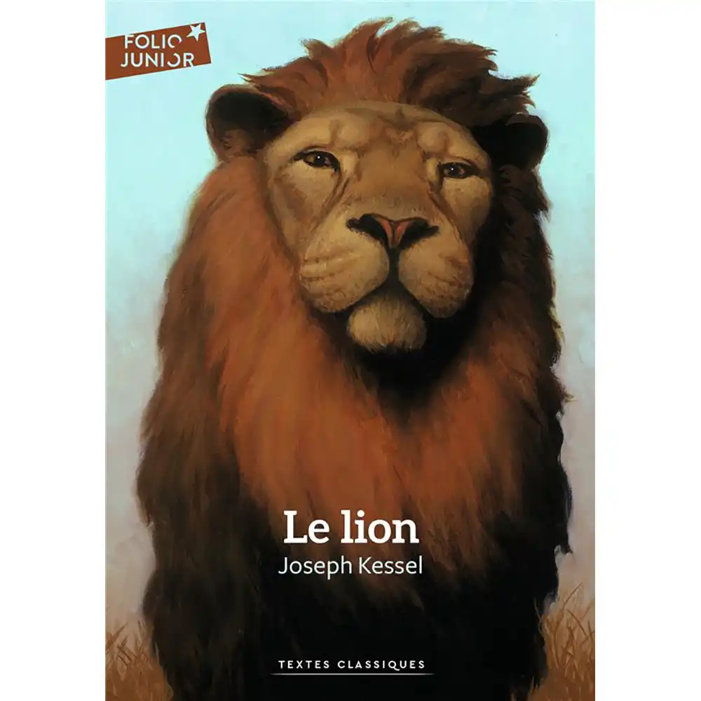 DAR-SOULAMI-AL-HADITA-9782075099899-LE-LION dar-soulami-al-hadita-9782075099899-LE-LION