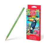 dar-soulami-al-hadita-4041485324805-24-CRAYONS-COULEUR-18CM-ART-BERRY-TRI-ERICHKRAUSE