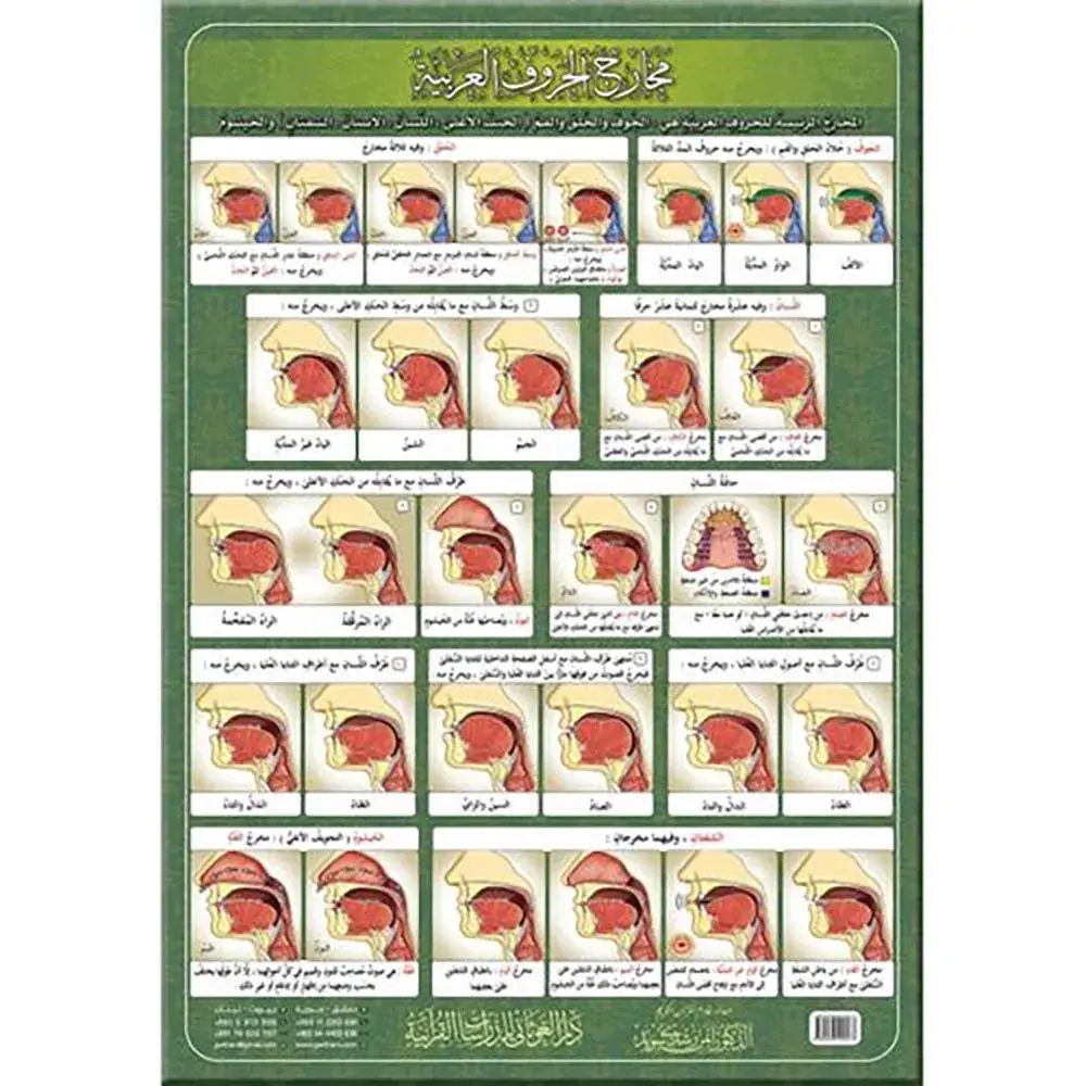 dar-soulami-al-hadita-HN0054-A-4-لوحة-مخارج-الحروف-العربية