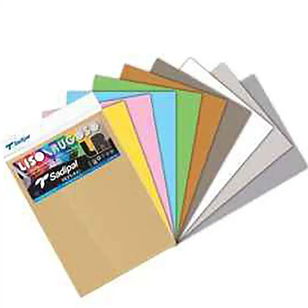 dar-soulami-al-hadita-8427973132262-10-F-BRISTOL-A4-220G-LR-COULEUR-CLAIRE-SADIPAL