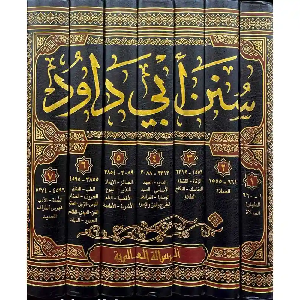 dar-soulami-al-hadita-BN0991-سنن-أبي-داود-1-7