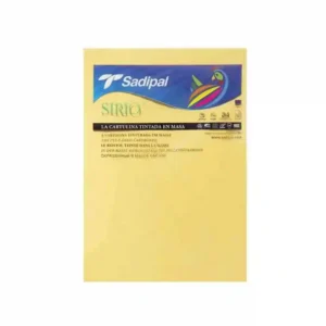 dar-soulami-al-hadita-S322A402-PAPIER-BRISTOL-A4-02-JAUNE-CLAIR-P10-SADIPAL