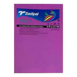 dar-soulami-al-hadita-S322A413-PAPIER-BRISTOL-A4-13-VIOLET-P10-SADIPAL