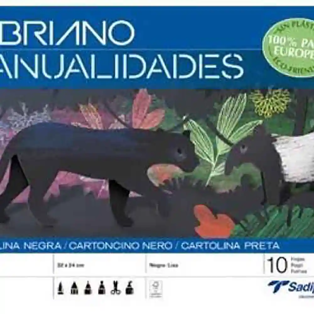 dar-soulami-al-hadita-8427973335304-BLOC-BRICOLAGE-10F-BRISTOL-A4+-NOIR-SADIPAL