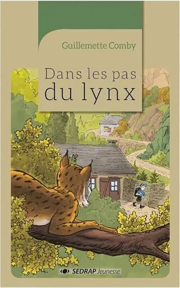 dar-soulami-al-hadita-9782758147497-DANS-LES-PAS-DU-LYNX