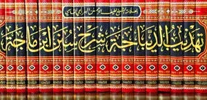 dar-soulami-al-hadita-BN0016-تهذيب-الديباجة-شرح-سنن-ابن-ماجة-1-20