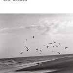 dar-soulami-al-hadita-9782070360109-LA-CHUTE